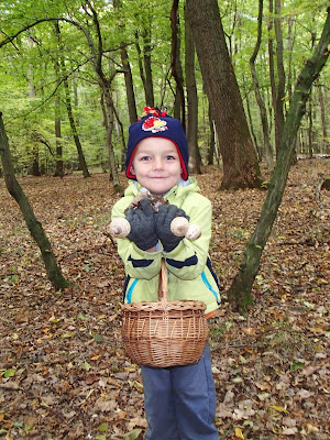 grzyby w październiku, grzybobranie w październiku, grzyby w Puszczy Niepołomickiej, czubajka gwiaździsta,czubajka gwiaździsta (Macrolepiota konradii 