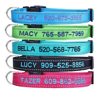 Personalized Dog Collar,Custom Embroidered Pet Name & Phone Number - Quick Release Buckle & D-Ring with ID Tags & Leash