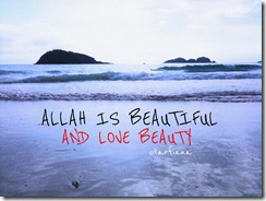 Allah is beautiful_islamic_quotes_pictures