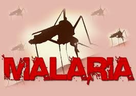 obat alami malaria