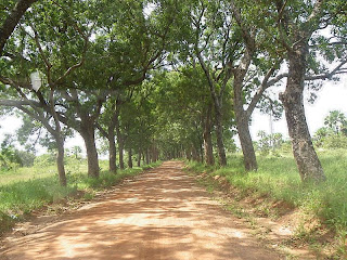 Burkina Faso - sur la route de Sindou