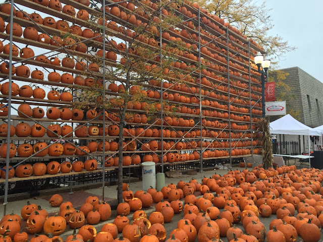 Pumpkins as far as the eye can see at The Great Highwood Pumpkin Festival.