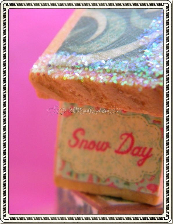 Cosmo Cricket bird house 4