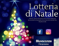 Vinci gratis voucher viaggio da 50 euro e un mega cesto di Natale e tanti gadget