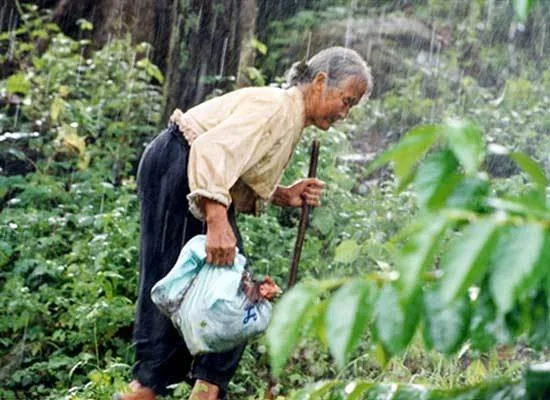 Film Korea The Way Home, Ketika Nenek Tua Bisu Dititipin Cucu Dari Kota