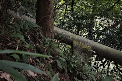 根雨発電所の水圧鉄管