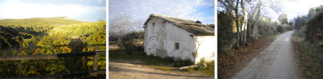 Camino a Cabra