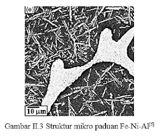 Gambar 3. Struktur mikro paduan Fe-Ni-Al
