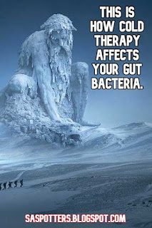 This is how cold therapy affects your gut bacteria.