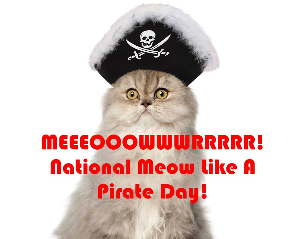 National Meow Like a Pirate Day