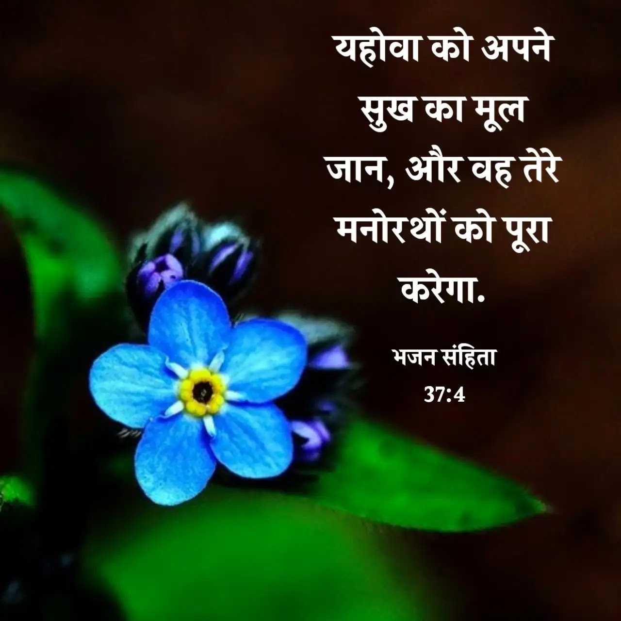 Hindi Bible Vachan Image