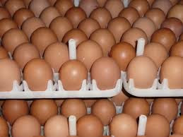 collected eggs in the crate