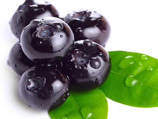 bilberry fruit images