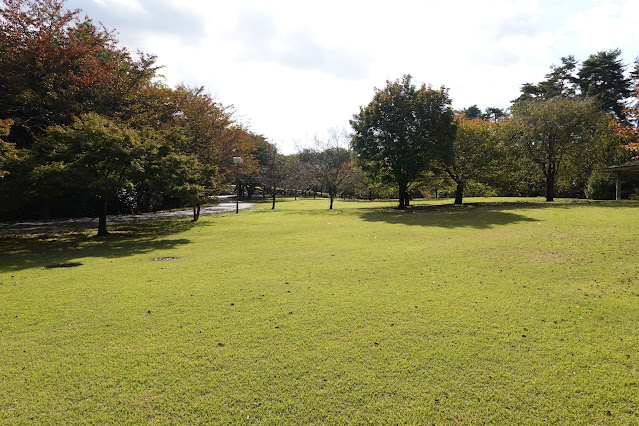 鳥取県西伯郡南部町鶴田　とっとり花回廊　桜の広場