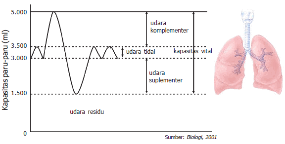 volume pernapasan