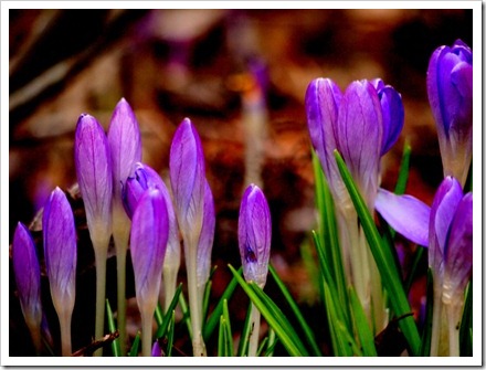 14 Feb 5 14-02-2012 15-43-57