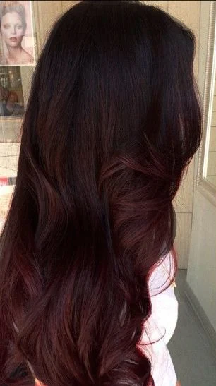 Mahogany hair with caramel highlights 5