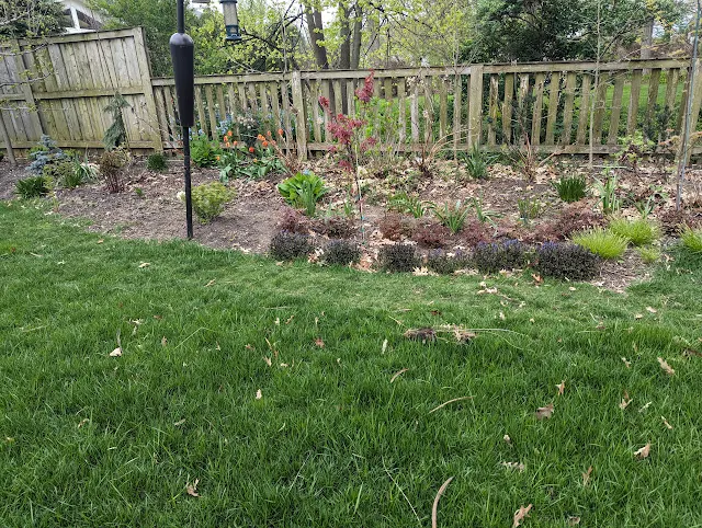 Fanal Astilbes and Ajuga Groundcover