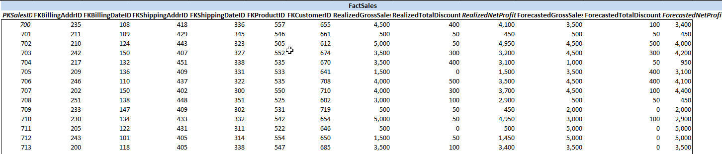 Fact table `FactSales` data (partial view)