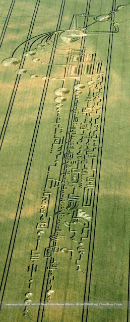 Crop Circle Pictograma, Agroglifo de Crabwood, Hampshire, Inglaterra, Stonehenge, condado de Wiltshire, na Planície de Salisbury