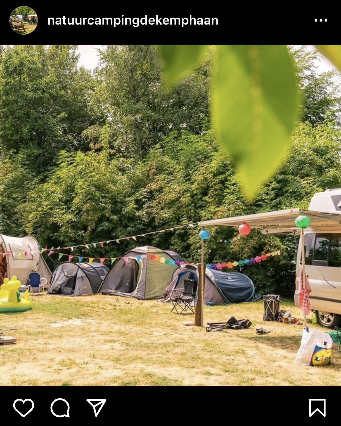 Be Carol Natuurcamping de Kemphaan Almere Summer Camping