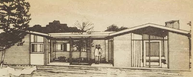 1960s house design - elevation