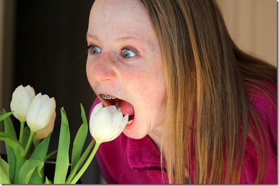 tulipcrazy