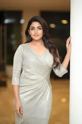 Actress Eesha Rebba Latest Photos at DAYAA pre release event