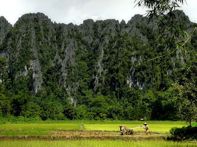 Trabajando en un Mar verde - Fotos de Laos de Ben Visbeek