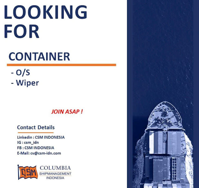 Looking for VLGC, Cruise Ship, Container Vessel CSM Feb 2024