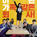 Radiant Office (K-Drama) 2017 (Complete)