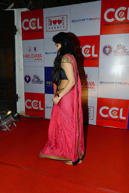 Actress Charmy Kaur Latest Pictures in Pink Saree at CCL Charity Dinner 46.JPG