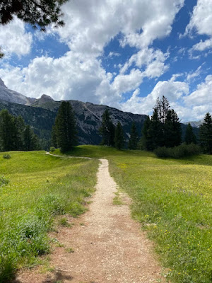 Passeggiata Malga Stolla Alm Dolomiti