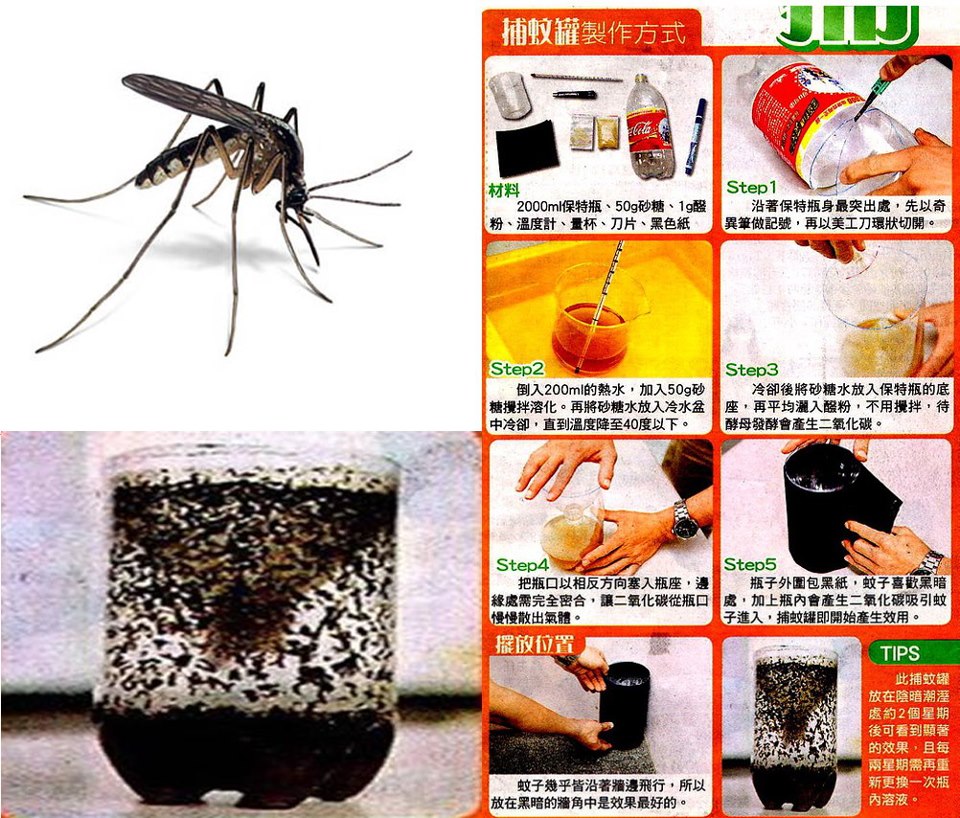 make Mosquito Repellent, pengusir nyamuk, pembasmi nyamuk sederhana