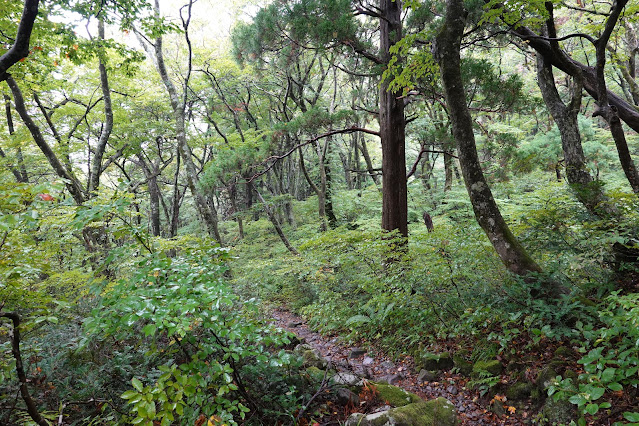 鳥取県西伯郡大山町大山　大山登山道