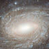 Spiral Galaxy NGC 6384