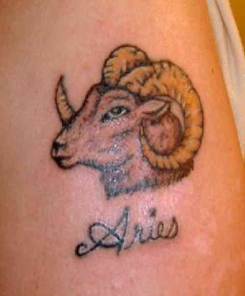 Ram with Aries tattoo.