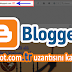 Blogger .tr Uzantısı Nasıl Kaldırılır ?