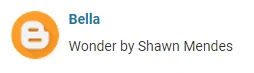 Wonder Shawn Mendes Request