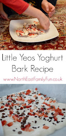 Little Yeos Yoghurt Bark Recipe