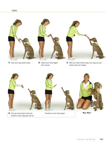 101 Dog Training Tricks Book Review