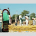 Was 4 Thousand Tons of Wheat be Stolen in Pakistan?