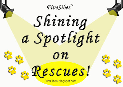 Pet Rescue Blog Hop