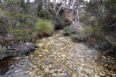 Cradle Mountain