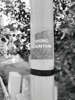 Young Mountain sticker