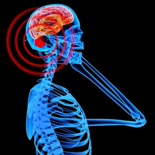  Radiasi Ponsel Dapat Mempengaruhi Perkembangan Otak Janin  Pintar Pelajaran Radiasi Ponsel Dapat Mempengaruhi Perkembangan Otak Janin