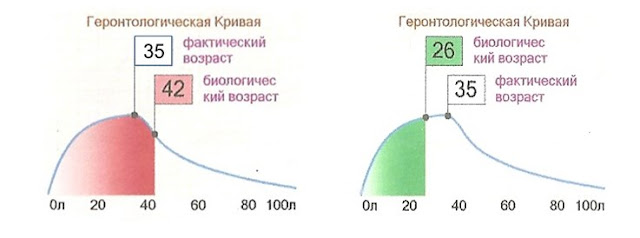 ПОГРАНИЧНАЯ_ВОДА_Механизм_действия