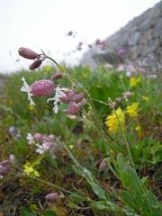 20100726-DSCN1604