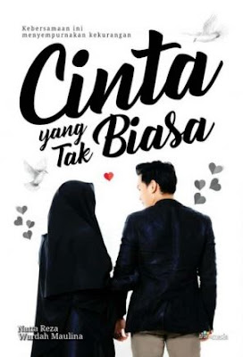 Download Novel Cinta yang Tak Biasa pdf karya Natta Reza, Wardah Maulina