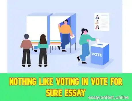 Nothing Like Voting In Vote For Sure Essay